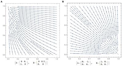 Evolution of parental roles in phase portraits of bimatrix asymmetric games